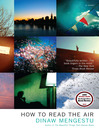 Cover image for How to Read the Air